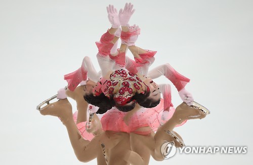 꽃이피다 이미지