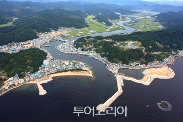 강구항