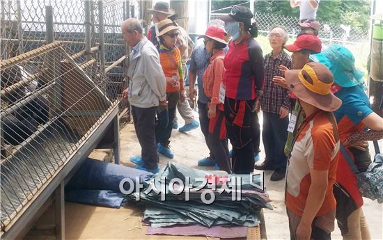 염소 농장 이미지