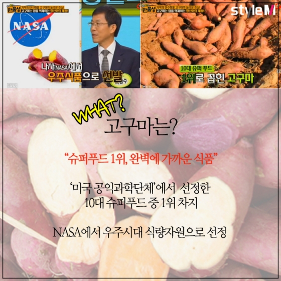 /사진=머니투데이 DB, TV조선 '만물상' 방송화면 캡처