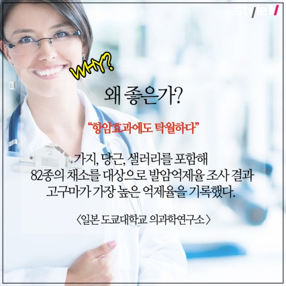 /사진=www.ilmicrofono.it in Flickr