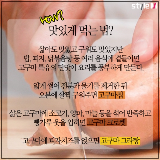 /사진=Steve A Johnson in Flickr