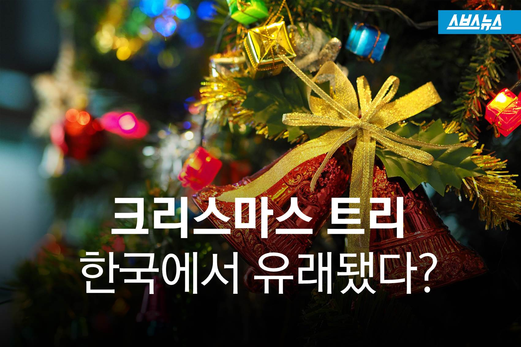 크리스마스 트리,원산지는 한국 | 인스티즈