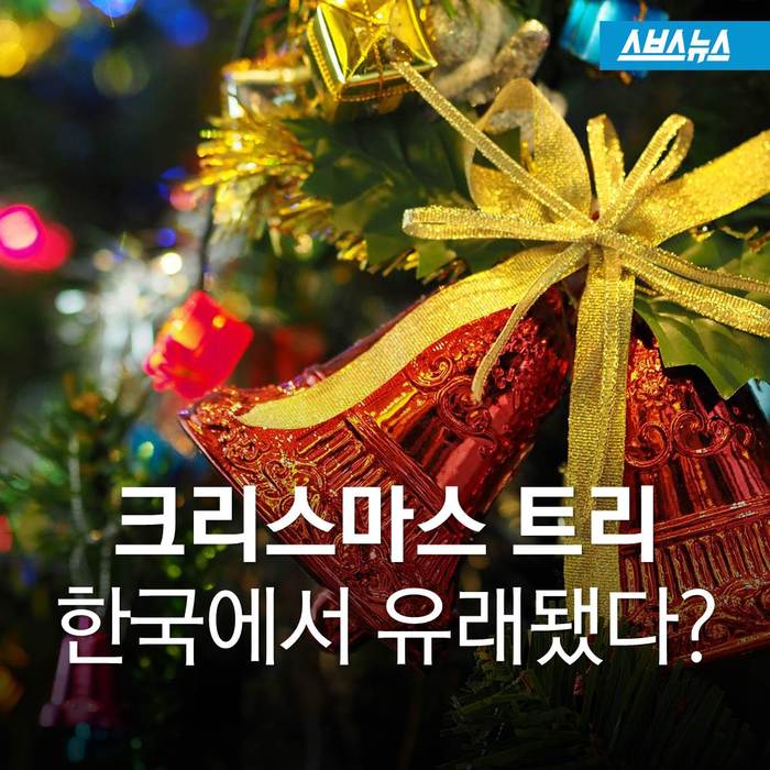 크리스마스 트리,원산지는 한국 | 인스티즈