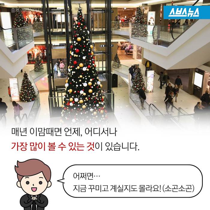 크리스마스 트리,원산지는 한국 | 인스티즈