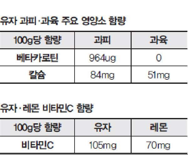 [헬스조선]유자 과피·과육 주요 영양소 함량