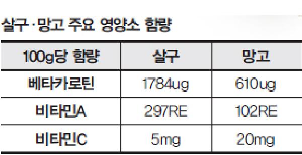 [헬스조선]살구·망고 주요 영양소 함량