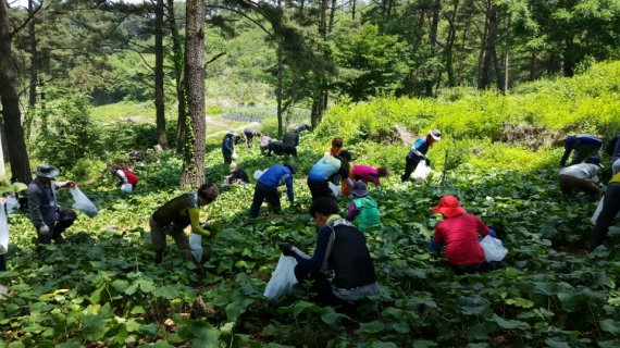 남원지리산허브영농조합 이미지
