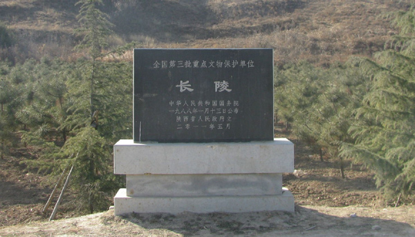 시안 이미지