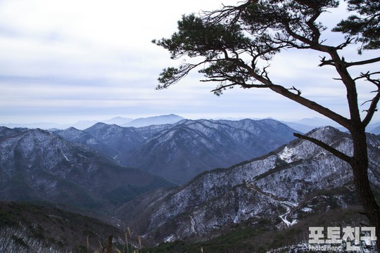 12월_성주산을 오르며 ⓒ 후리지아