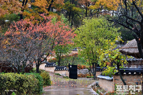 11월_가을비 내리는 경주 양동마을
