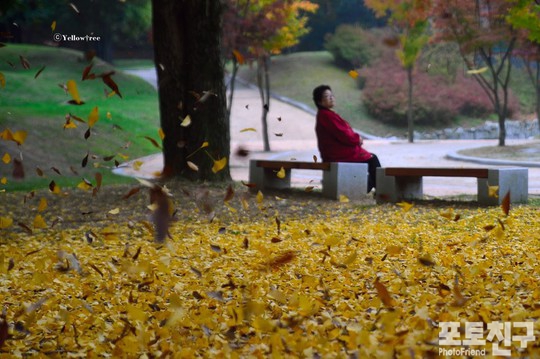 10월_나비 되어 날다