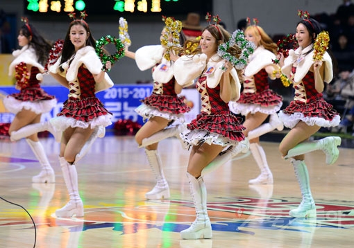 치어리 이미지