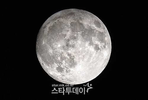 럭키장식 이미지