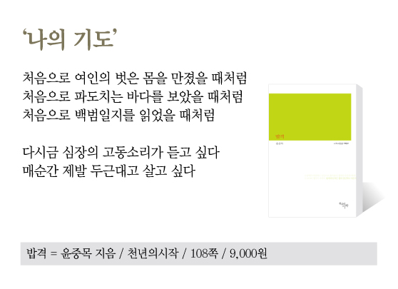 시인의집 이미지