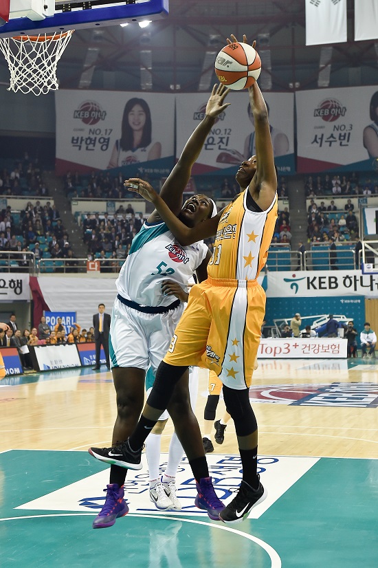 리 이미지