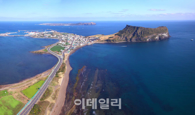 엠엠피 이미지