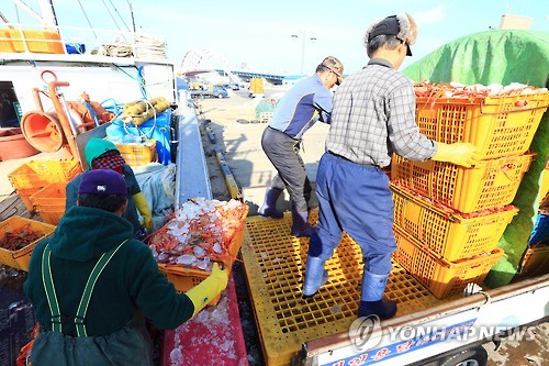 속초대게축제 이미지