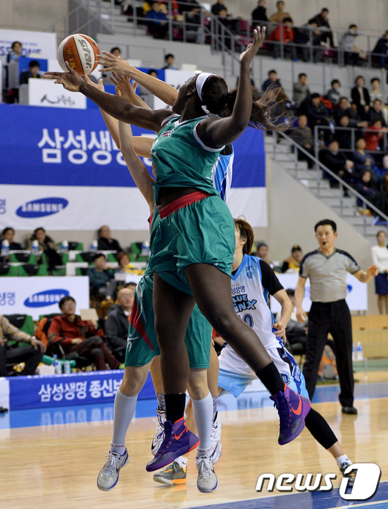 리 이미지