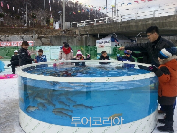 축제의땅 이미지