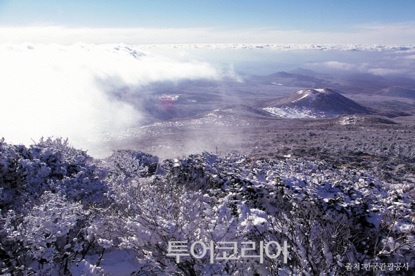 취향 이미지