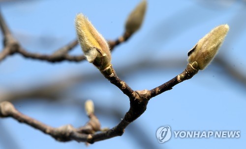 목련슈퍼 이미지