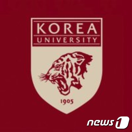 고려대 총학생회 