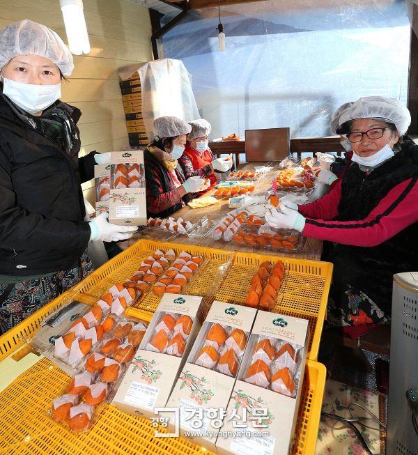 지리산산청곶감 이미지