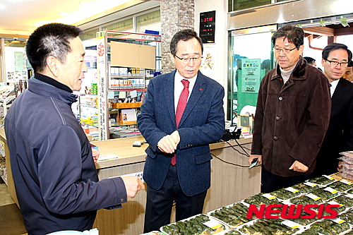 법인솔티 이미지