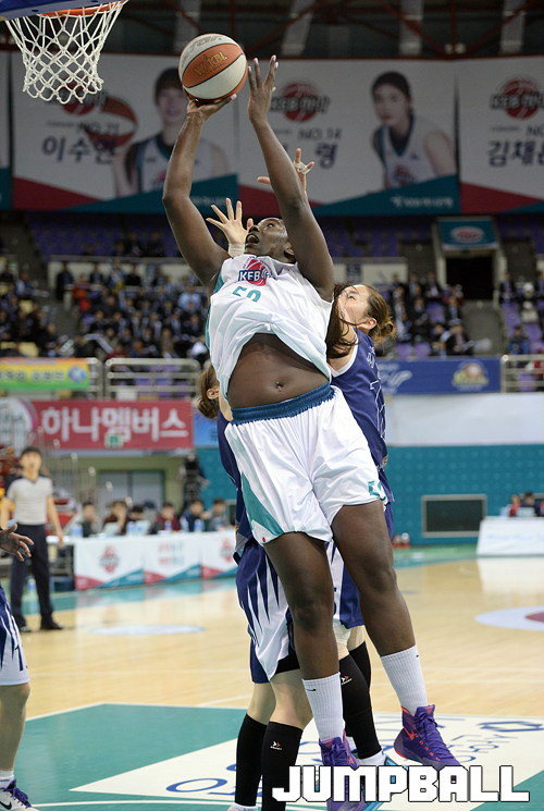 리 이미지