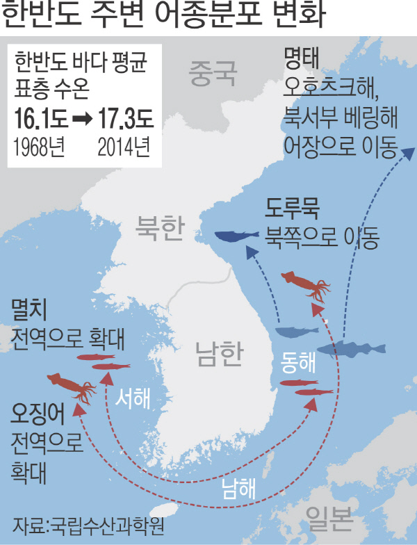 명태 사라진 동해바다 '제주 옥돔'이 올라왔다 - 경향신문