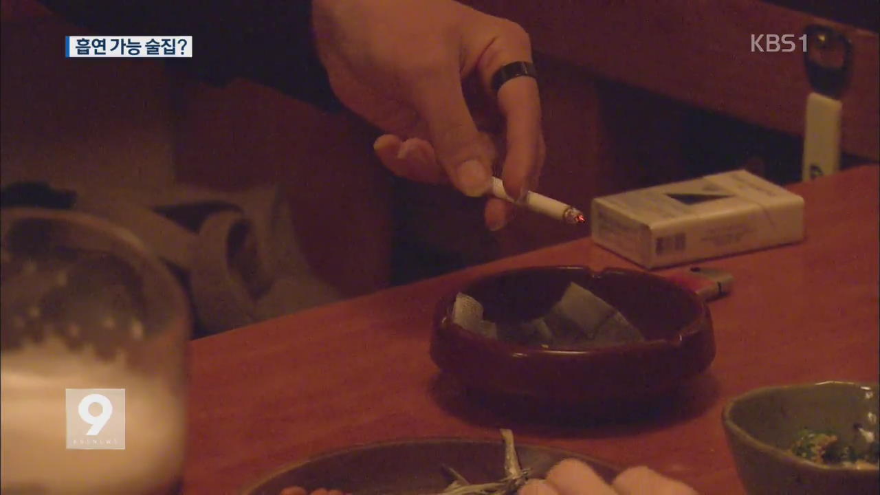 흡연 가능한 술집?..편법 영업에 금연 정책 '무색' - KBS