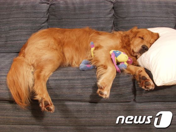 (사진 이미지투데이)© News1