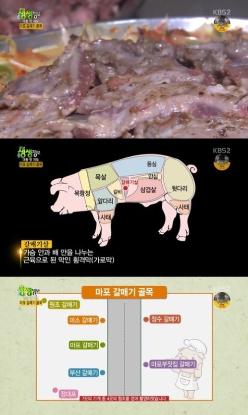 마포갈매기 이미지