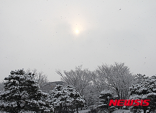 전북 최고 20mm 눈..강풍·대설 예비특보 - 뉴시스