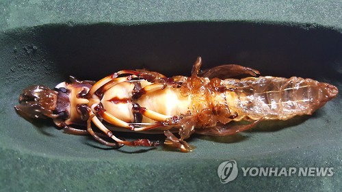 장수환경개발 이미지