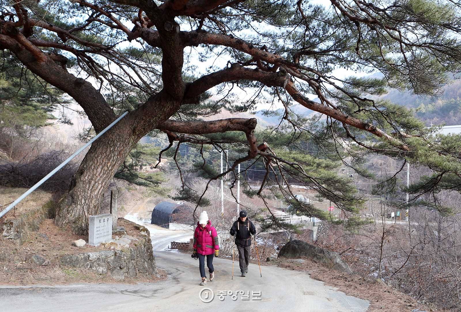 스민 이미지