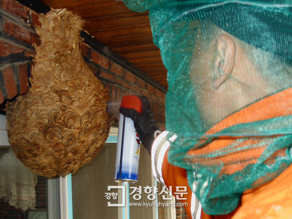 경기 119구조대 활동 절반이 '벌집 제거·동물 구조' - 경향신문