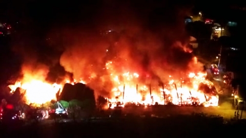 과천 화훼 단지에서 큰불..밤샘 진화에 주민 불안 - YTN