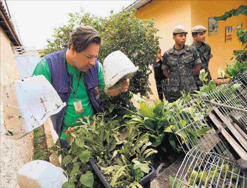 브라질 카니발도 '뎅기 충격'..축제 연기하는 도시 늘어 - 연합뉴스