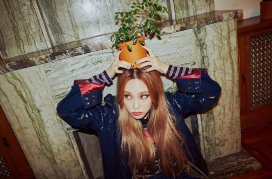헤이즈 이미지