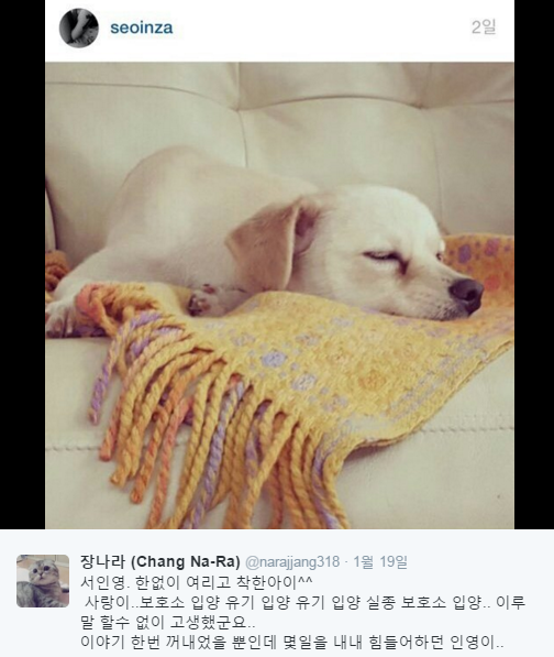 장나라 이미지