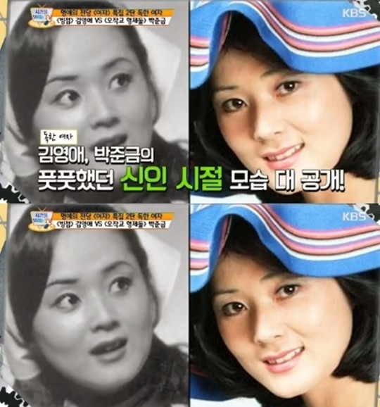 김영애 이미지