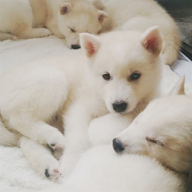 오남매농장 이미지