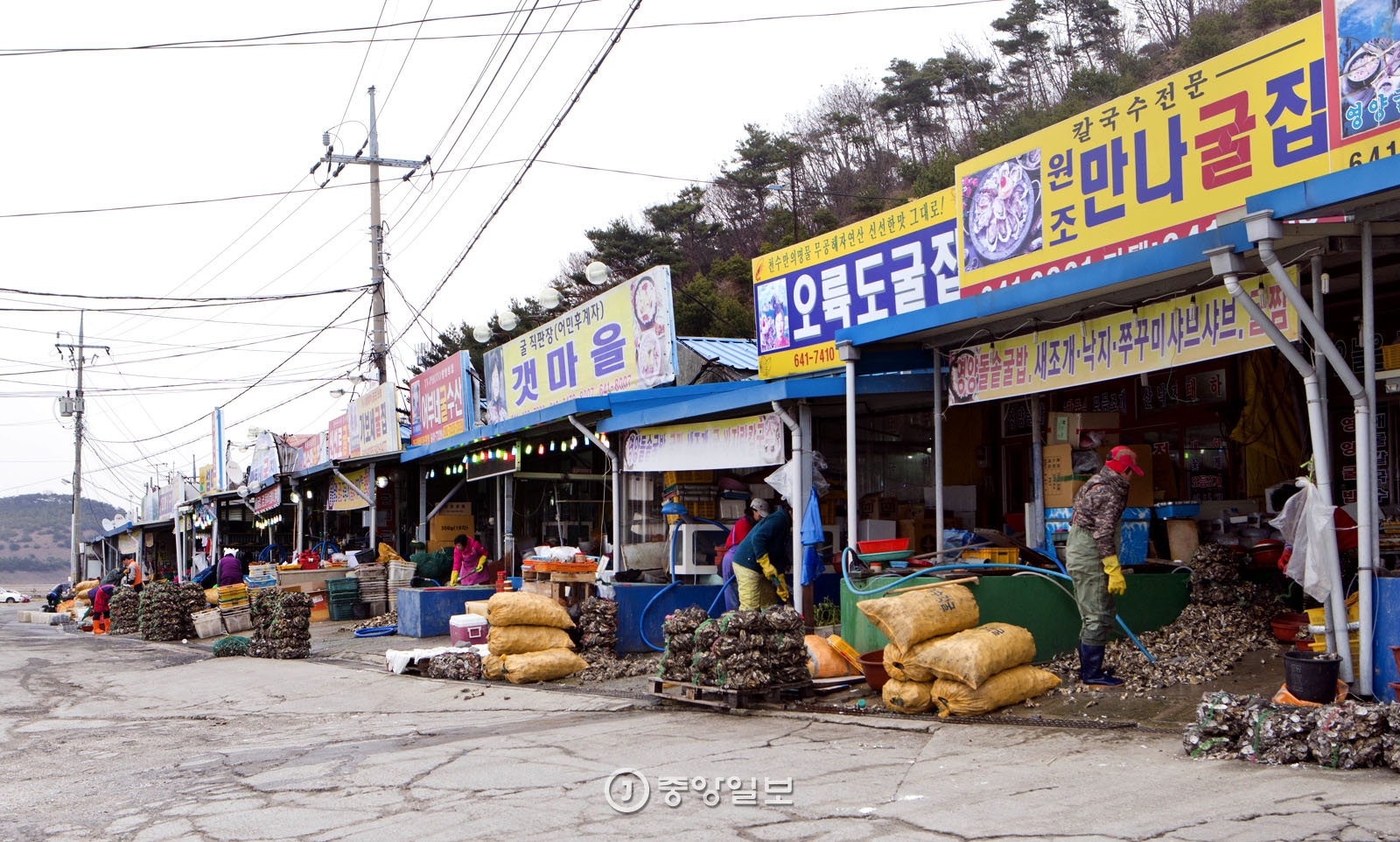 보령 천북면 굴 단지에는 굴 구이집이 늘어서 있다.