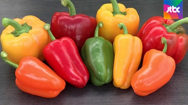 미니 파프리카·망고 수박..농가 살리는 '신품종 마법' - JTBC