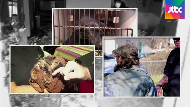 FBI, 동물학대도 '중대범죄' 규정 