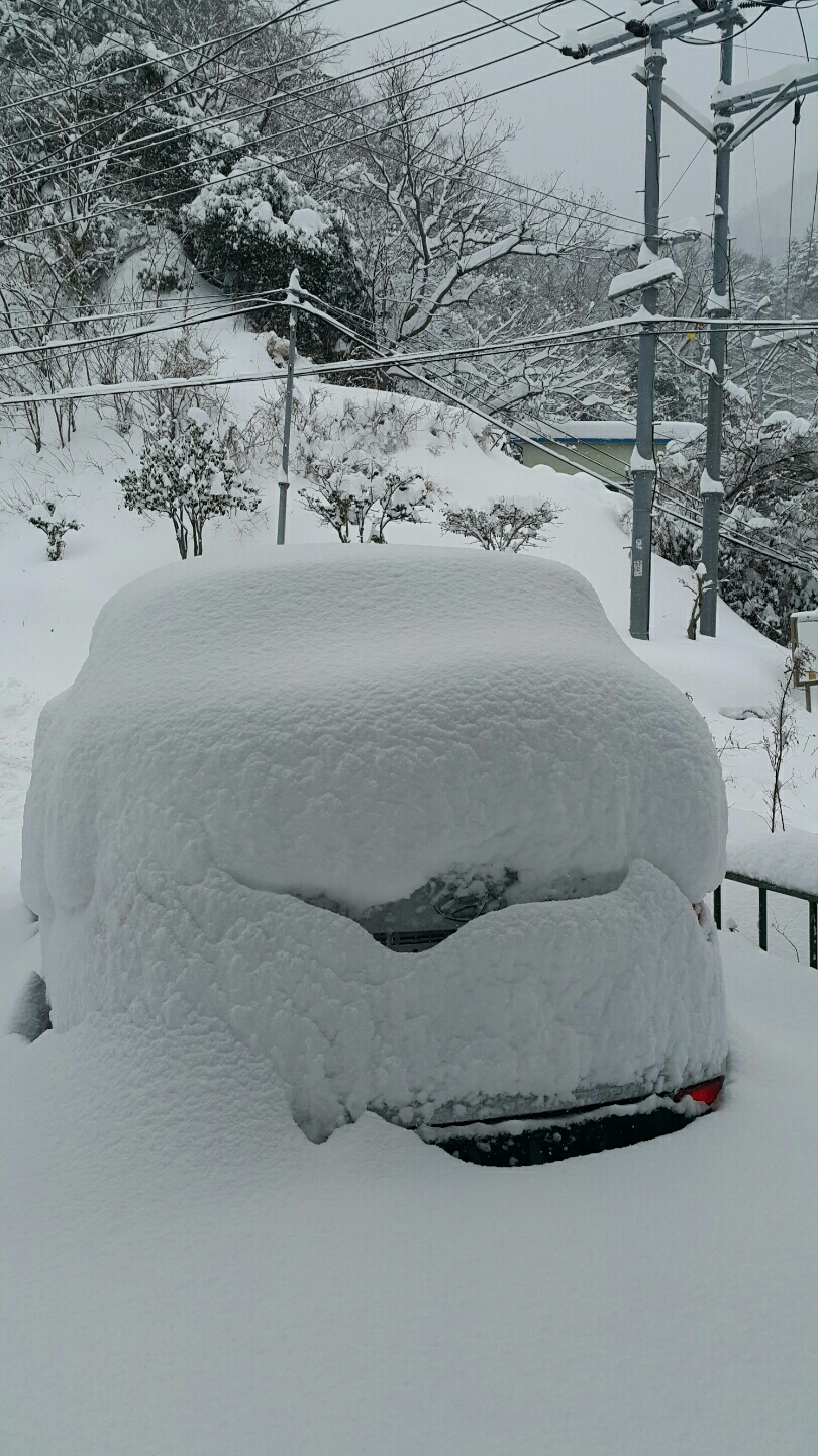 울릉도식품 이미지