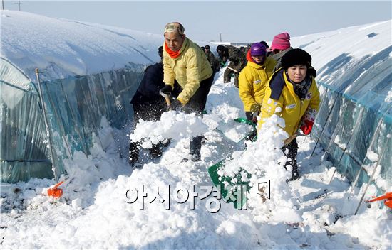 설 이미지