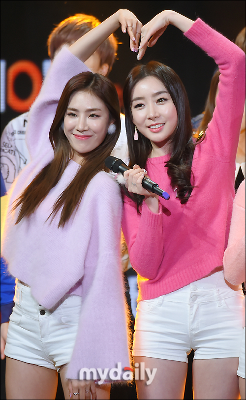 스텔라 이미지
